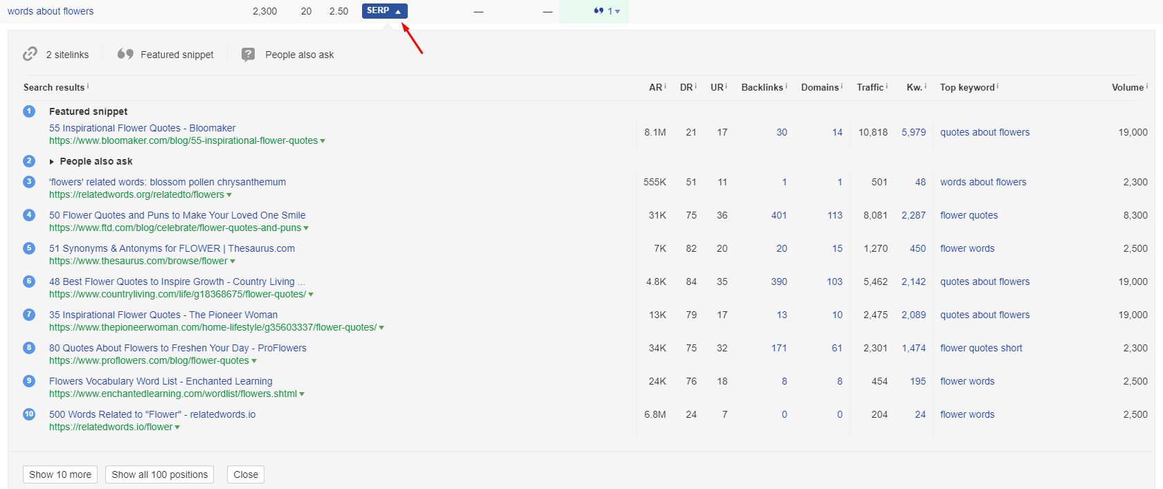 Screenshot of SERP option from Ahrefs